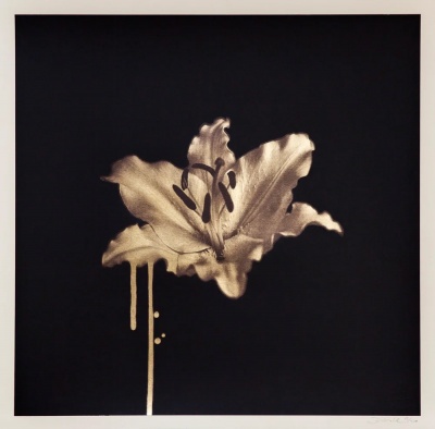 ''Gilded Lily (Gold)'' limited edition screenprint by Donk