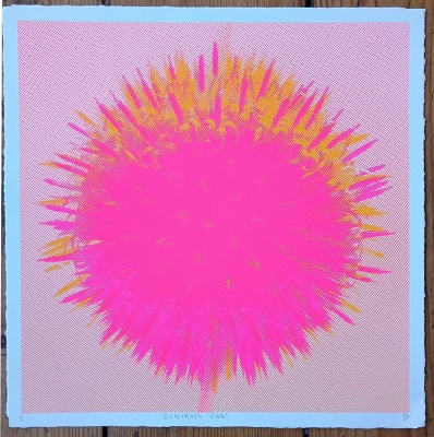 ''Echinops Pink'' limited edition screenprint by Sonofafox