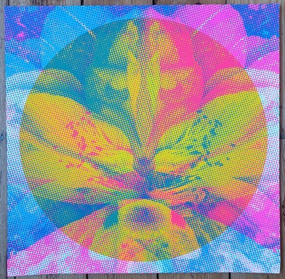 ''Lotus'' limited edition screenprint by Sonofafox